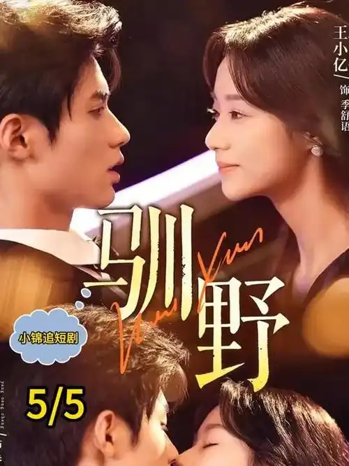 白露为霜古装权谋电视剧全集在线观看